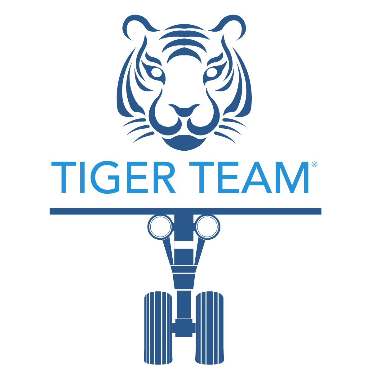 TIGER TEAM logo