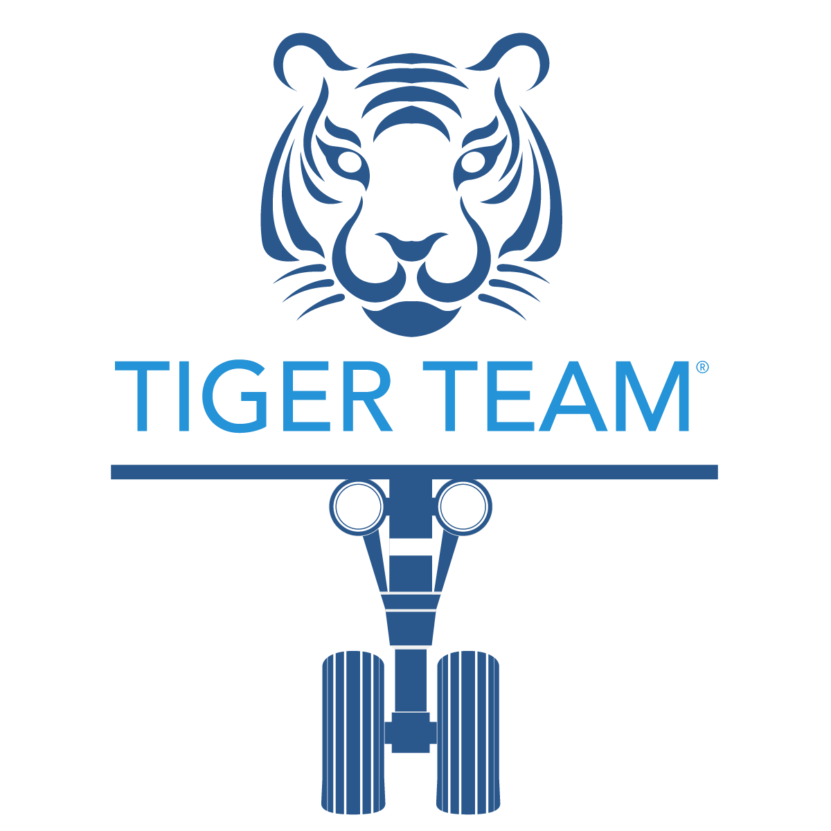 TIGER TEAM logo